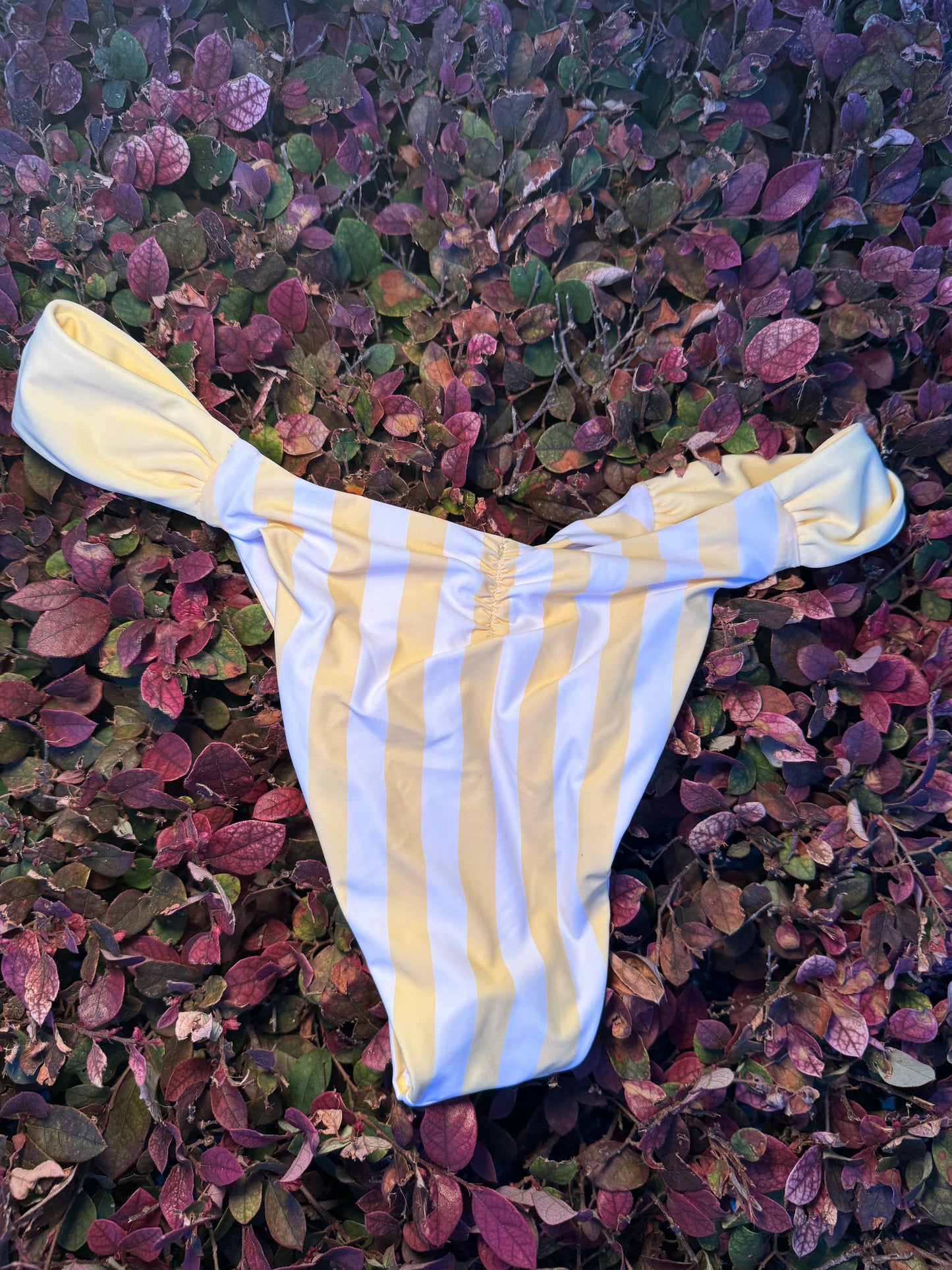 Lemonade Swim Bottom