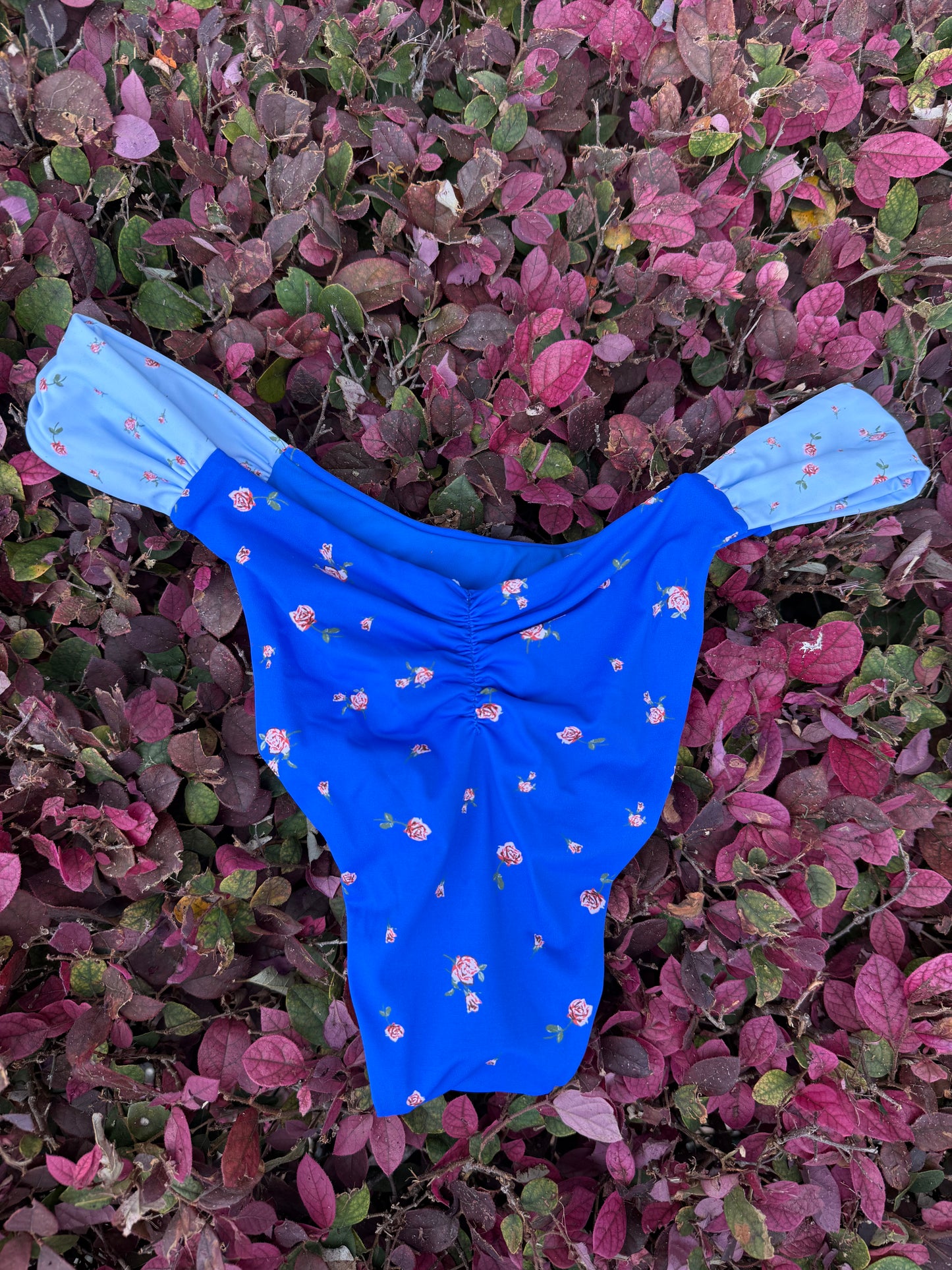 Cinderella’s Swim Bottoms