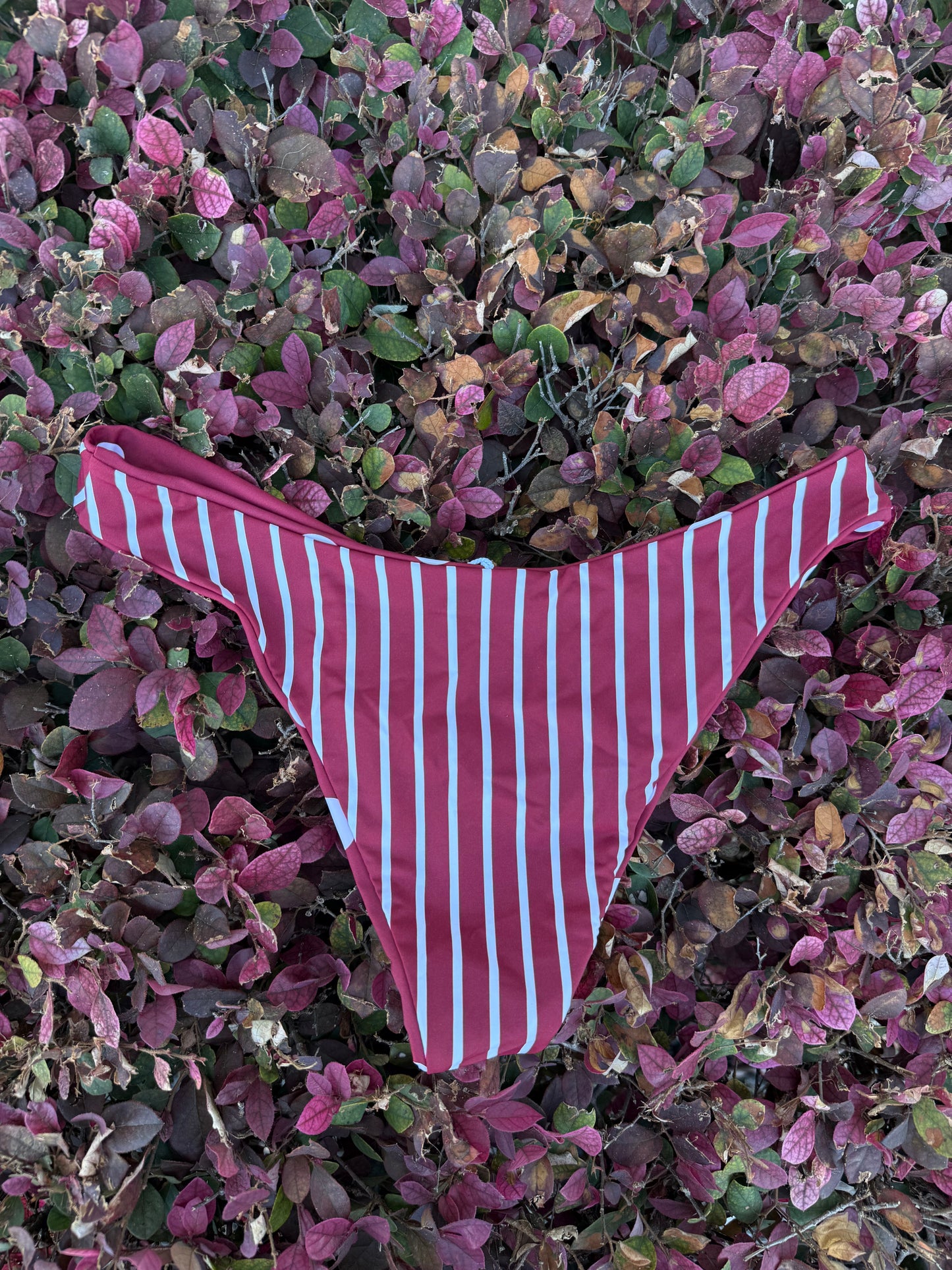 Shirley Temple Bikini Bottom