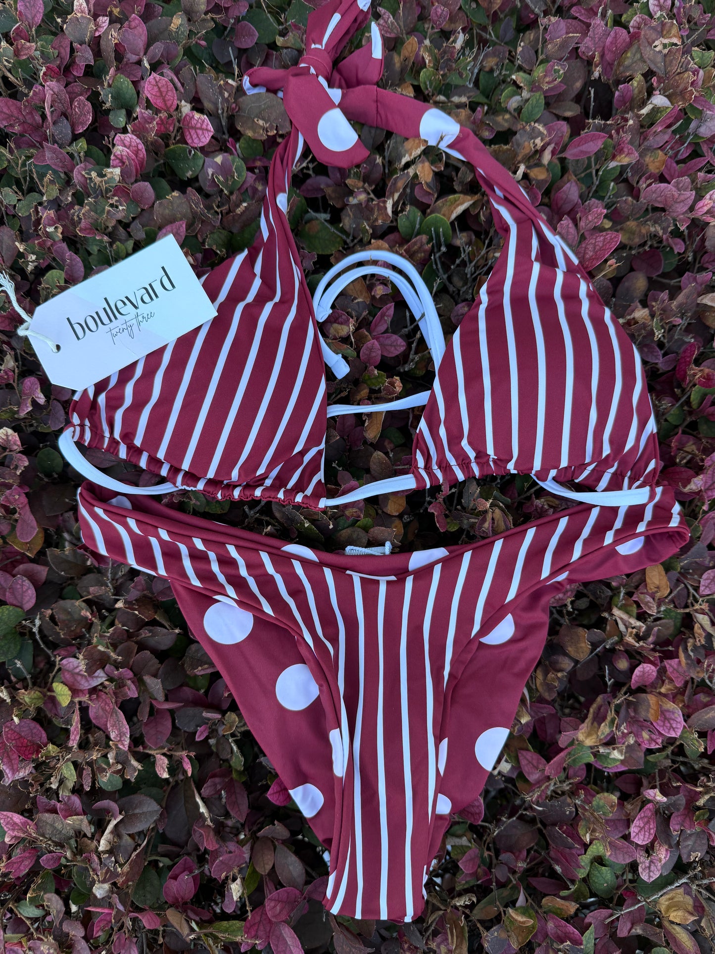 Shirley Temple Bikini Bottom