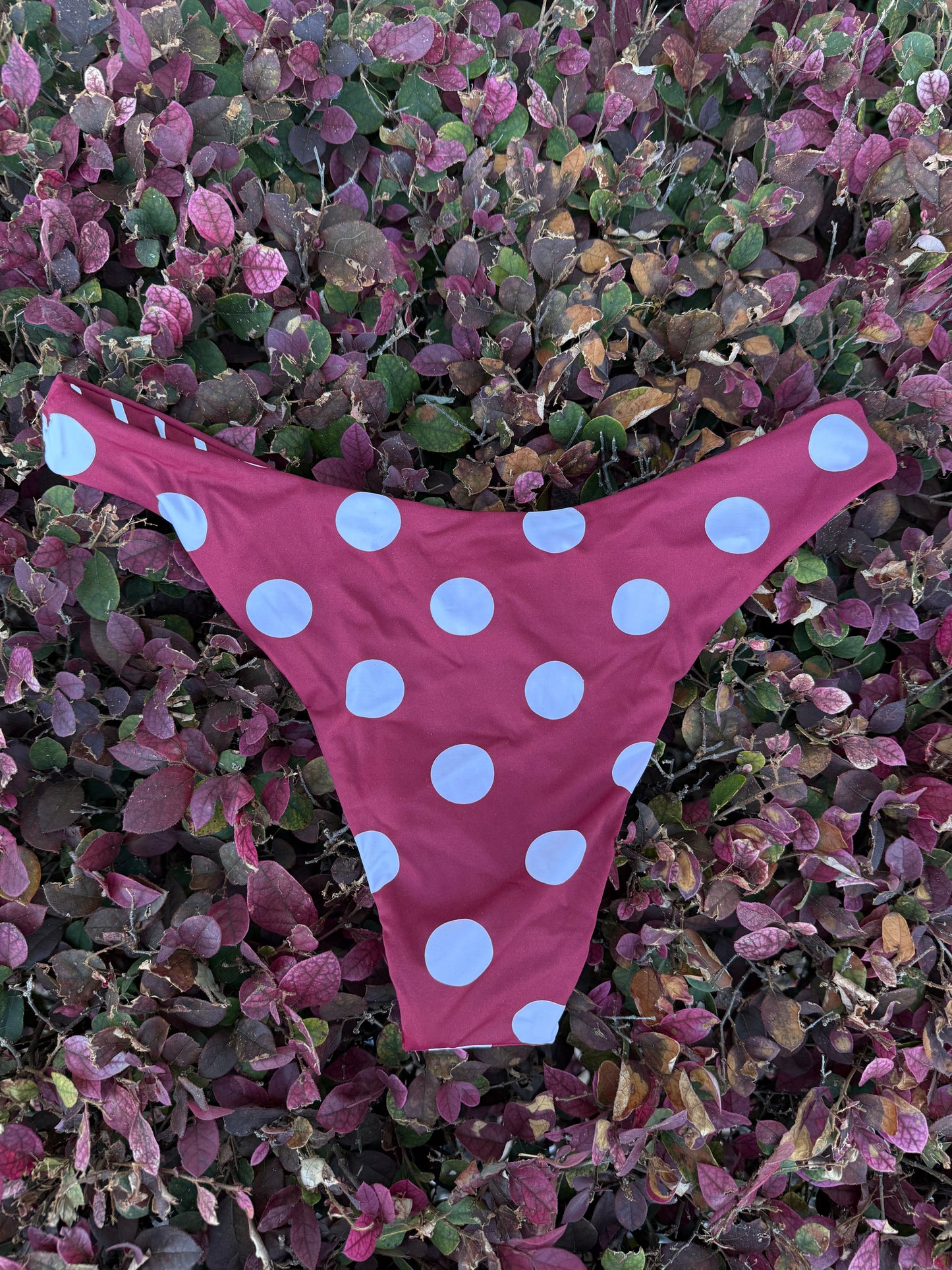Shirley Temple Bikini Bottom