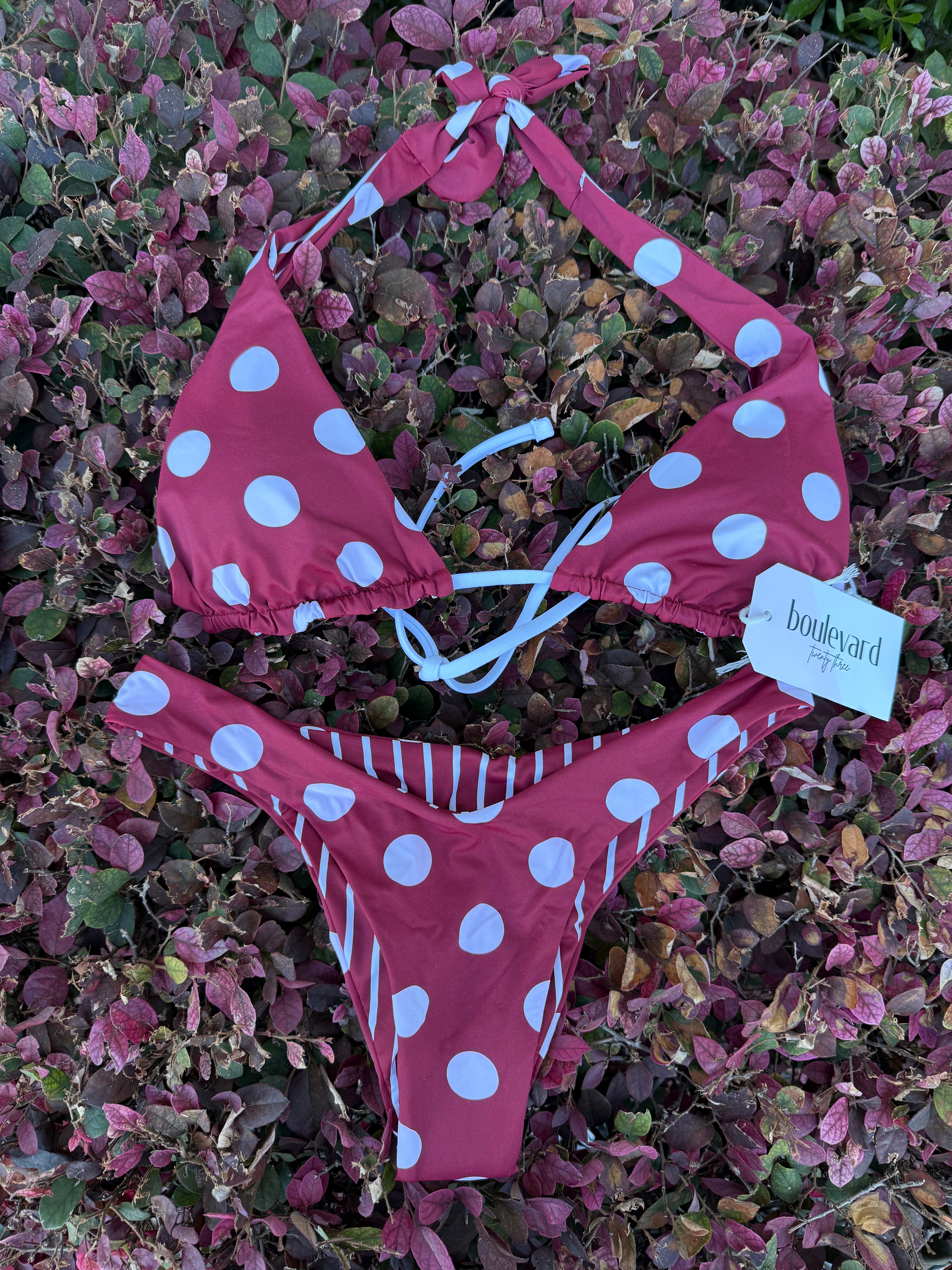 シャーリーテンプル Shirley Temple Bikini Top – Boulevard 23 Clothing Boutique