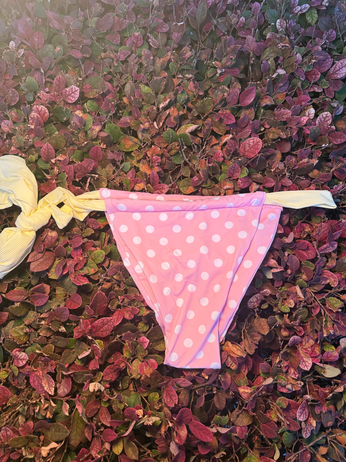Pink Lemonade Swim Bottoms