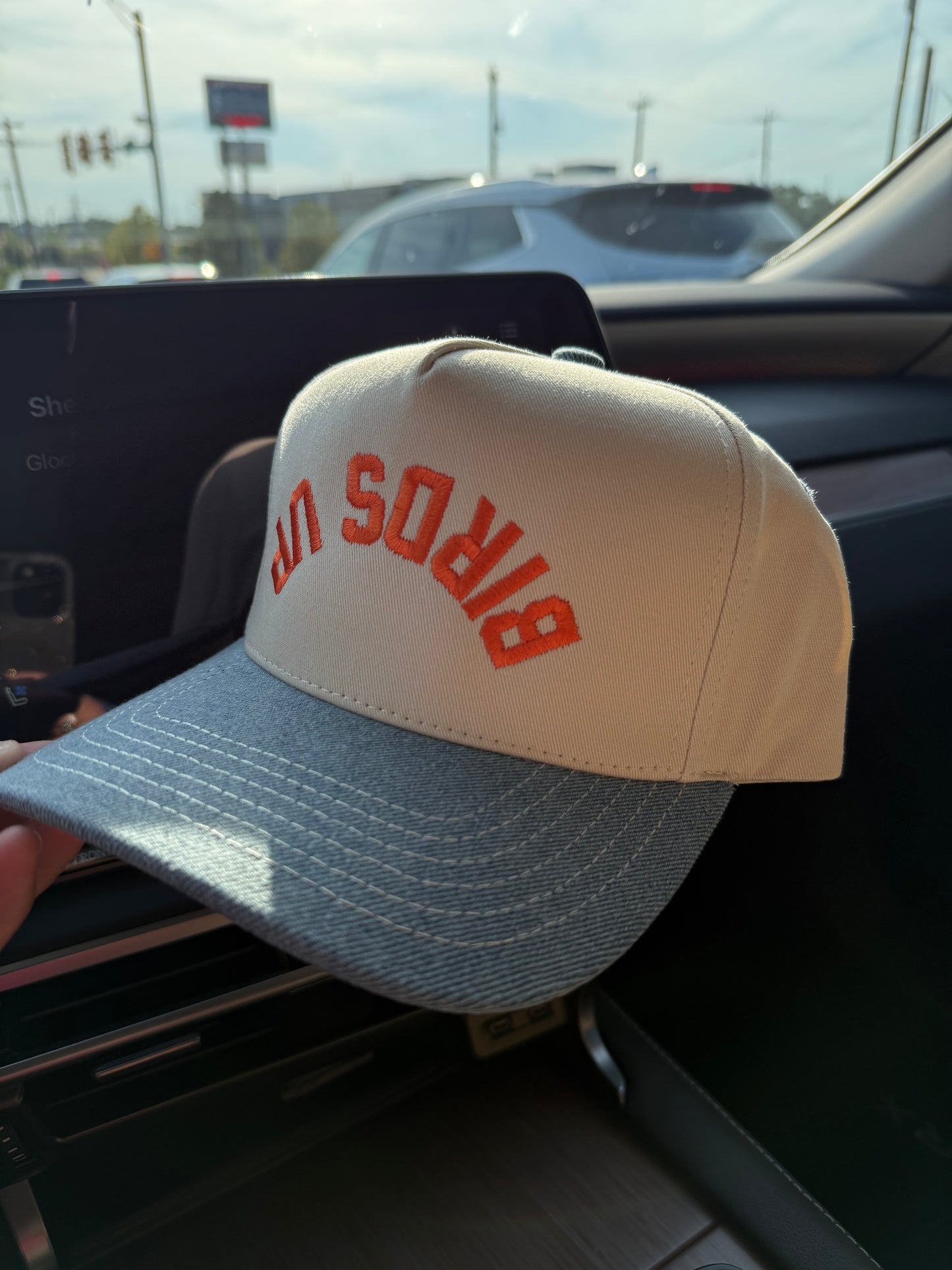 Birds Up Trucker Hat